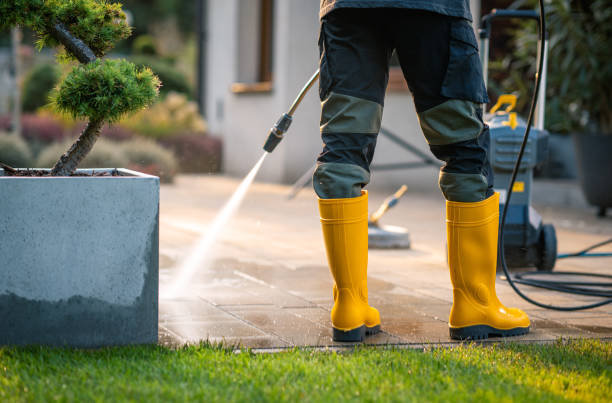 Best Best Pressure Washing Companies  in Huntland, TN